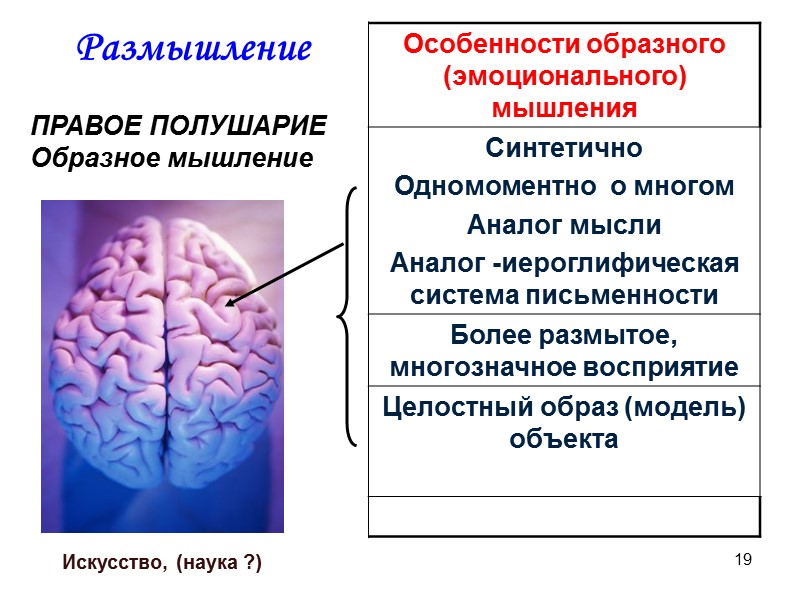 19 ПРАВОЕ ПОЛУШАРИЕ Образное мышление Искусство, (наука ?) Размышление
